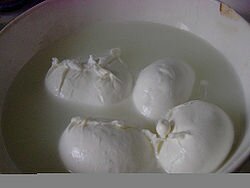 Mozzarella - Моццарелла