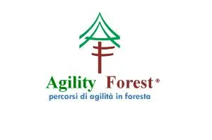 Agility Forest Millepini
