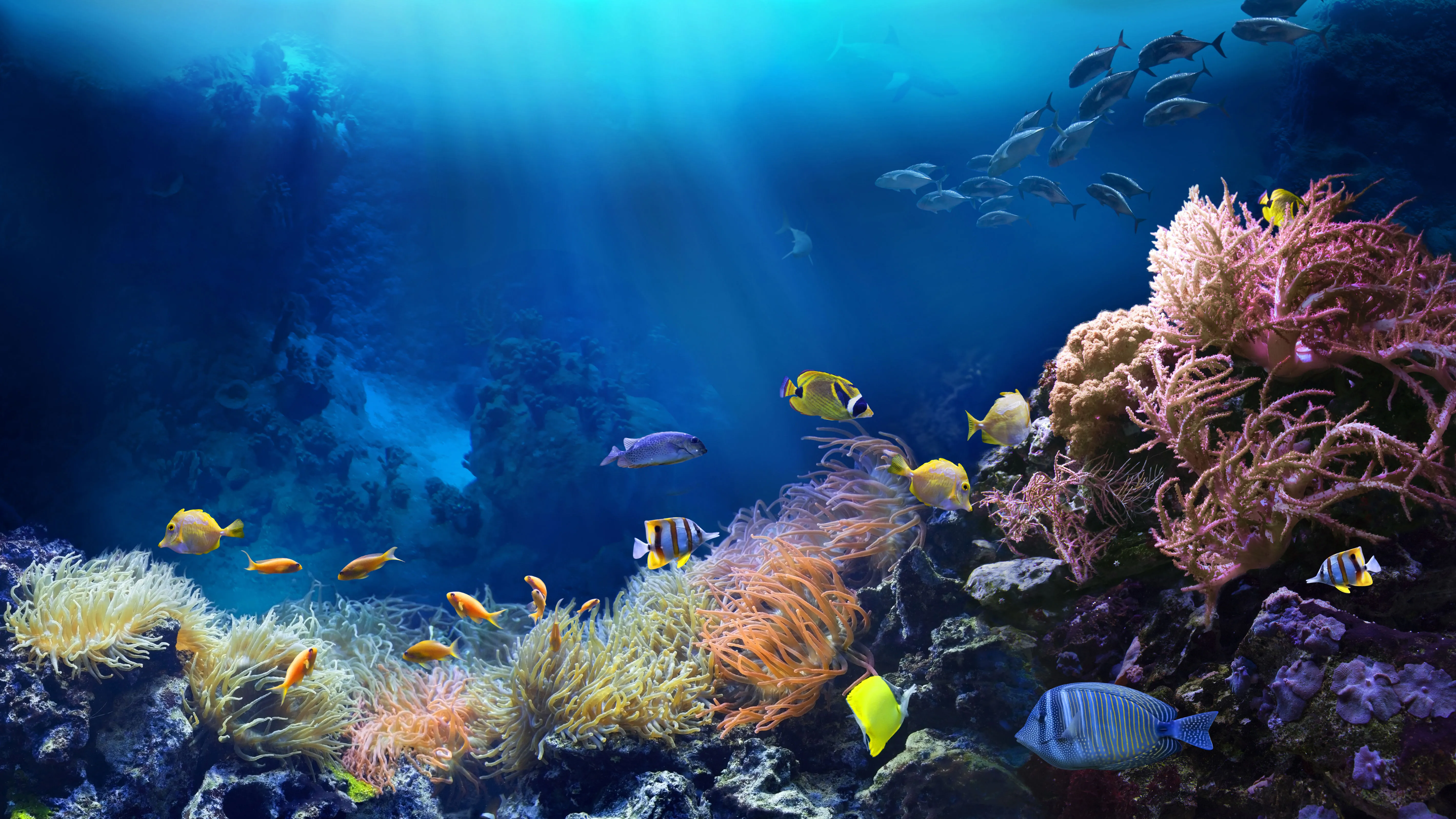 Gardaland Sea Life